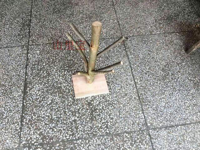 带底座桉树枝桉树桩蜜袋鼯飞鼠抖音仓鼠松鼠玩具攀爬磨牙桉树杈