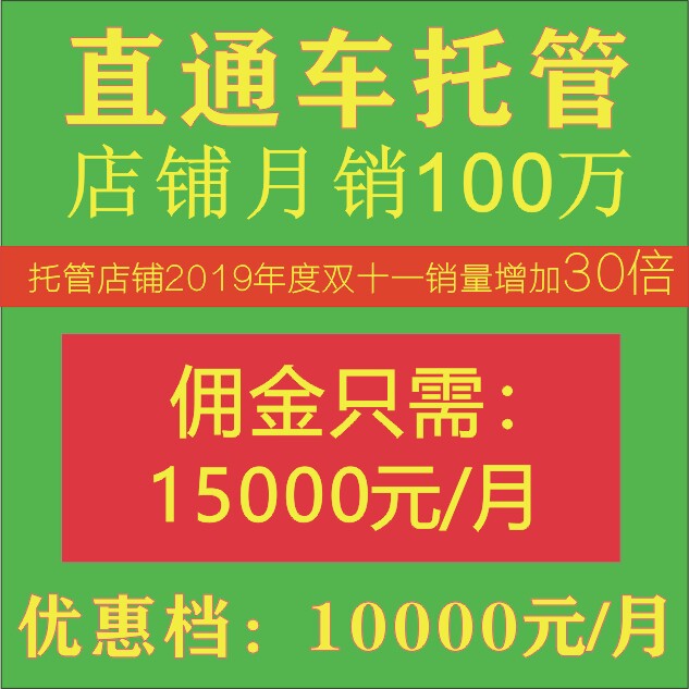 2淘宝直通车推广代运营天猫店铺整店托管推商品优化网店设计包月
