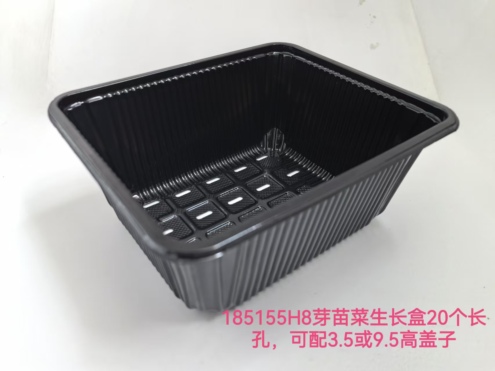 长孔芽菜种植盒水培蔬菜种植盒18.5×15.5×8黑色长孔盒