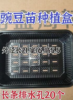 黑色长孔种植盒21×16×5.5种植盒一次性塑料水培芽菜蔬菜盒漏水