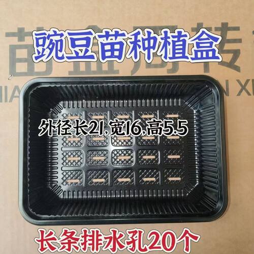 黑色长孔种植盒21×16×5.5种植盒一次性塑料水培芽菜蔬菜盒漏水