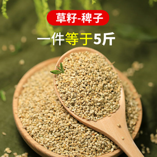 包邮鸟食水稗子草籽芙蓉鸟鹦鹉珍珠鸟文鸟金青蛋白质高鸟粮饲料