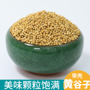 鹦鹉饲料鸟粮新黄谷子带壳小米虎皮鹦鹉饲料玄凤牡丹专用食物粮食