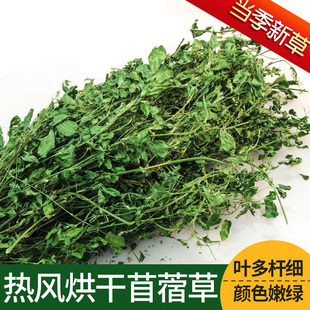 紫花苜蓿草兔粮饲料兔子食用草粮豚鼠龙猫荷兰猪幼兔草干草新牧草