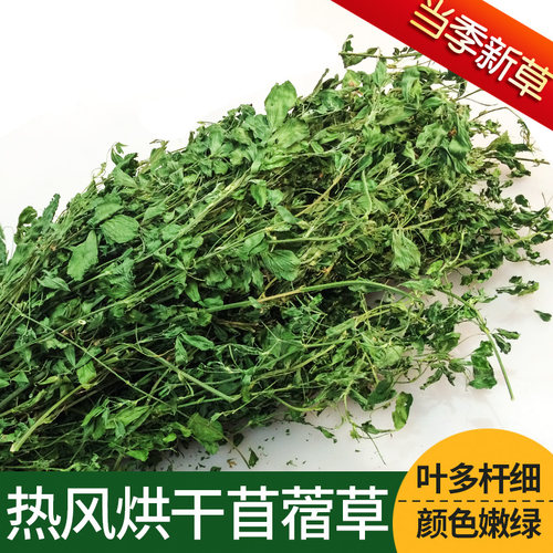 紫花苜蓿草兔粮饲料兔子食用草粮豚鼠龙猫荷兰猪幼兔草干草新牧草 - 封面