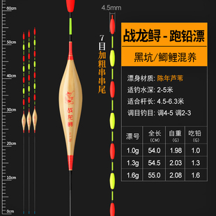 战龙鲟芦苇7目橄榄豆加粗醒目无铅跑铅青鱼大物高灵敏立式浮漂