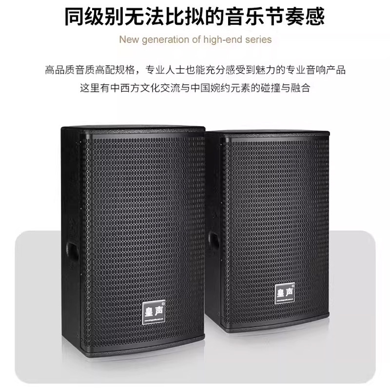 KingAudio/皇声D10音箱 专业KTV家庭唱歌清吧酒吧10寸350W一对