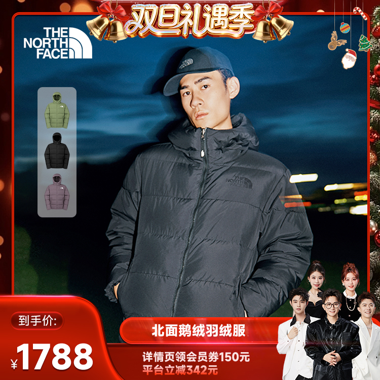 北面男防风防泼水鹅绒服