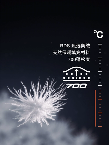 The North Face ICON Nuptse Пуховик женский короткий водоотталкивающий на гусином пуху для улицы TheNorthFace|8EFE