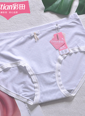 彩田内裤头15119中腰莫代尔少女可爱蝴蝶结蕾丝花边包臀7A石墨烯