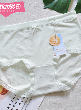 彩田中腰内裤女士纯色棉莫混纺16689蕾丝花边石墨烯10A抑菌柔软