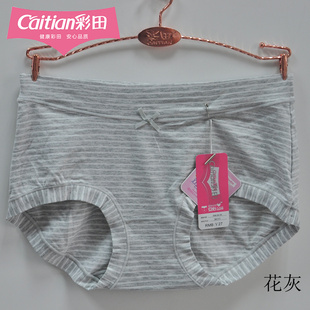头高腰36111 中腰36109清新条纹双色纱莫代尔透气女裤 新款 彩田内裤