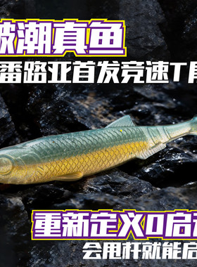 子弹头翘嘴路亚专用饵超轻耐磨新品破潮真鱼T尾鳜鲈鱼假饵铅头钩