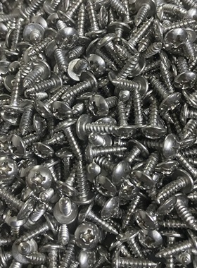 100只价格  进口 304不锈钢自攻螺丝 十字槽自攻钉 M3x10mm