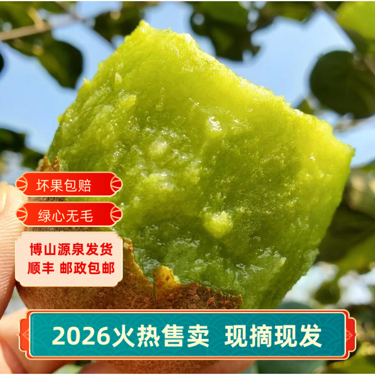 淄博特产博山源泉猕猴桃泥猴桃碧玉无毛绿心新鲜孕妇当季水果礼盒