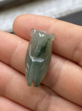 G01天然翡翠玉蝉知了吊坠 油青绿色玉石挂件玉项坠 小孩儿童学生