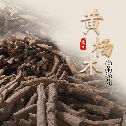 黄杨木原木料湖北神农架黄杨木