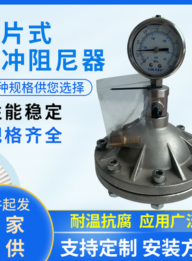 不锈钢法兰式隔膜式脉冲阻尼器SS304/SS316L计量泵脉冲缓冲罐