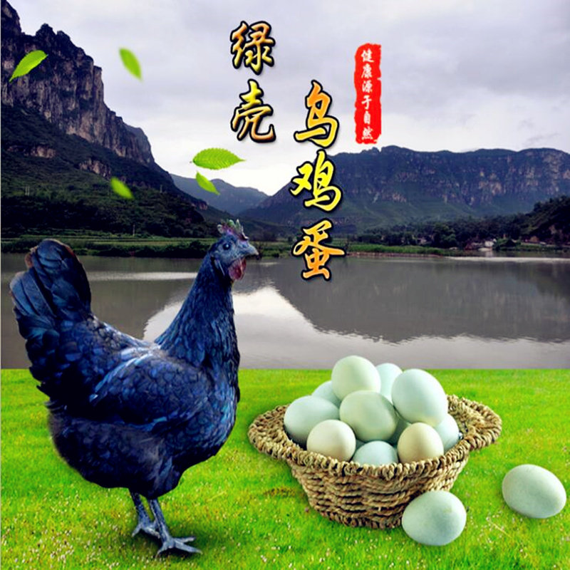 青皮鸡蛋农家散养绿壳新鲜土鸡柴鸡蛋月子孕妇宝宝辅食30枚包邮