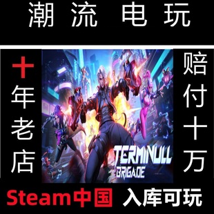 Steam中国入库 矩阵 Brigade Terminull 国际服锁区入库 零日危机