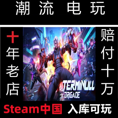 矩阵 零日危机 Terminull Brigade Steam中国入库 国际服锁区入库