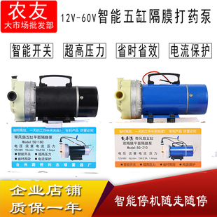 12V24V48V60V高压打药泵农用电动喷雾器灌溉5缸隔膜泵自吸打药机