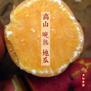 福建闽东高山农家自种红心黄心甜地瓜番薯5斤包邮