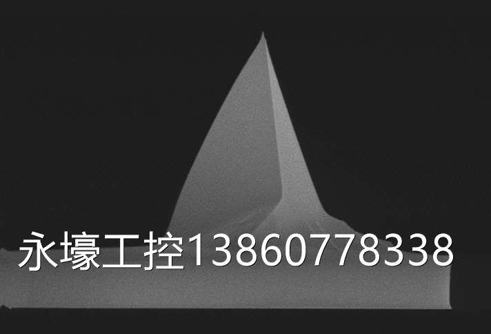 布鲁克bruker afm原子力显微镜探针 扫描电镜 scm-pit-v2议价