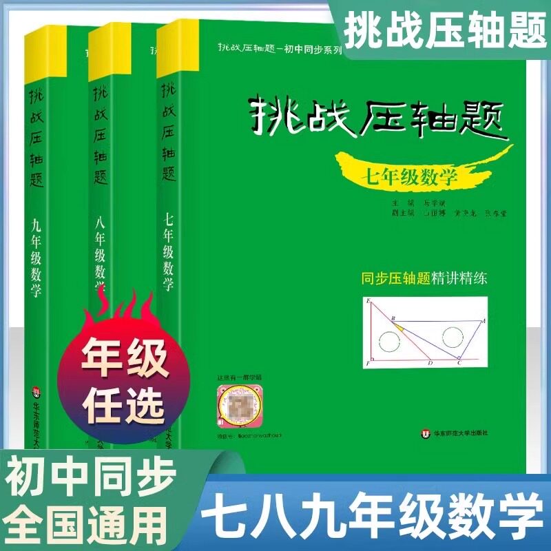2025挑战压轴题初中同步训练正版