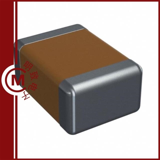 RD21B105K101A6HAND RD21B105K500H5H09B RD21B105K500H5H13B