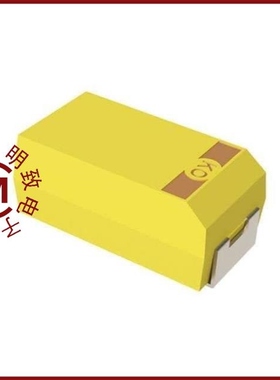 T543B106K025AHS100 规格