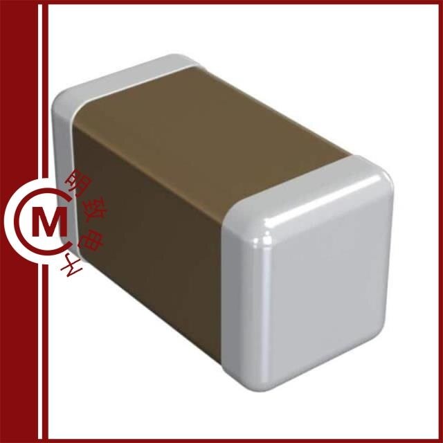 GQM1555C2D2R4CB01D/GQM1555C2D2R4WB01D/GQM1555C2D2R5WB01D