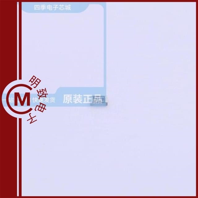 SY0603DD10KP SY0603DD33KP SY0603DD510RP