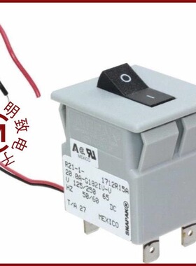 R21-1-20.0A-G182IV-V/R21-2-5.00A-B06CV-V/R21-5D2-24