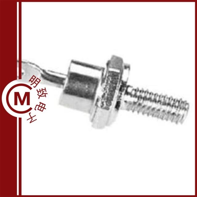 S202031MS02G S2020 S202031MS02Q