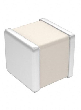 100A8R2CCA150X/100A8R2CT150XT/100A8R2BW150XT