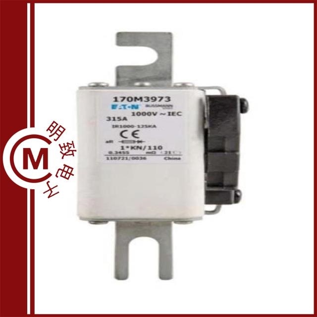 170M4989 170M5990 170M5987