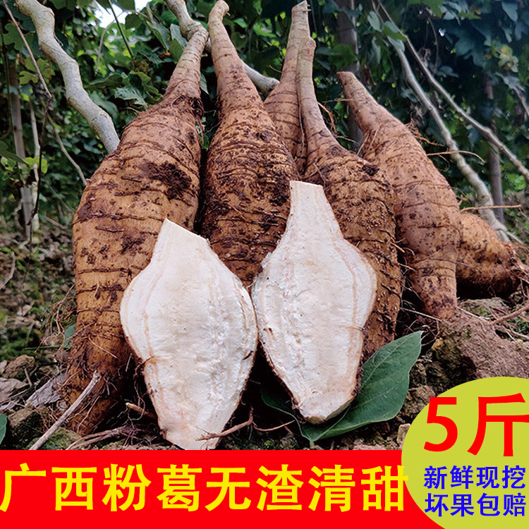 广西新鲜粉葛现挖3/5/9斤生吃煲汤清甜粉糯无渣葛根薯食用农产品