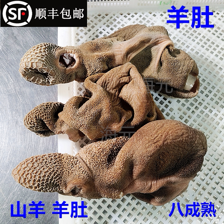 羊肚新鲜5斤 山羊肚生鲜4斤 整套全熟羊肚羊杂羊下水饭店清真商用