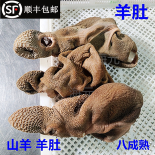 羊肚新鲜5斤 山羊肚生鲜4斤 整套全熟羊肚羊杂羊下水饭店清真商用