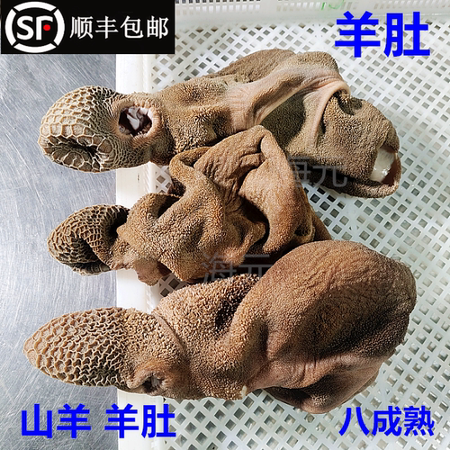 羊肚新鲜5斤山羊肚生鲜商用羊杂