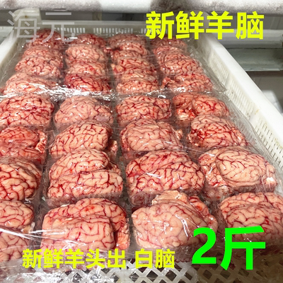 新鲜羊脑子 羊脑花新鲜冷冻羊脑髓羊上脑2斤火锅饭店清真食材包邮