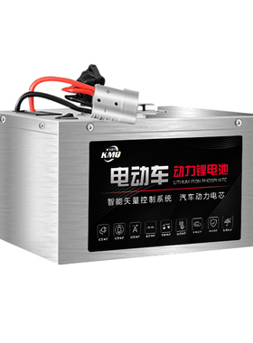 宁德时代电动车磷酸铁锂锂电池60V72V二三四轮车大容量100安电瓶