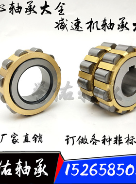 减速机偏心轴承RN205 RN206 307 308 309 312 219 222M 轴承