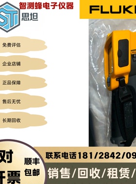 FLUKE福禄克TI10/TI110/TI25/TI27/TI29/TI32/TI65红外热像仪