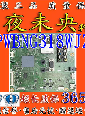原装LCD-40LX160A/NX260/DS10A/46LX265A/DS20A主板QPWBNG318WJZZ