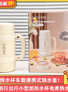 臻米烧水杯车载便携式烧水壶户外旅行出行小型加热水杯电煮热水壶