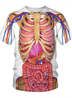 3D数码印花圆领T恤 宽松大码男士休闲短袖欧美跨境器官骨架图新款
