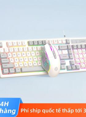 Bàn phím cơ蝰蛇KM800有线游戏键盘鼠标套装机械手感98键