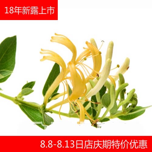 野生金银花纯露 香气清新雅致 去热收敛提升肤色  250ml